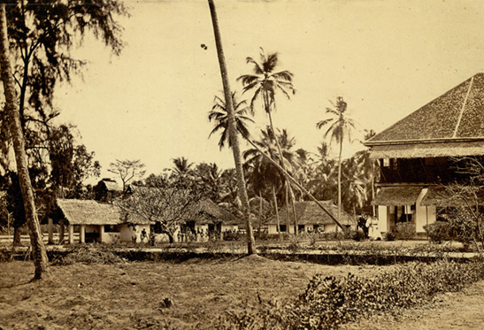 Welcome to the Family